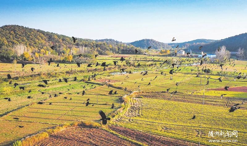 ����B���ո��ĵ����gҒʳ�ґ�