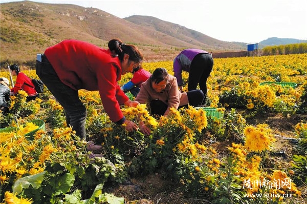 �l(f��)չ��ɫ�Nֲ�I(y��)