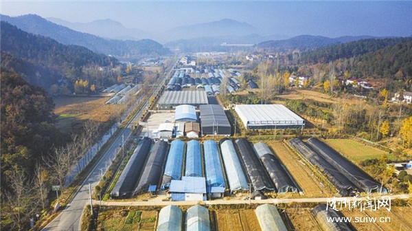 �㹽�ƷN����