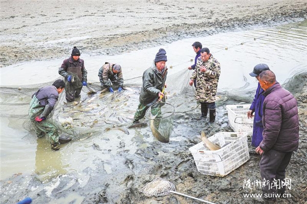 ��(chu��ng)�kˮ�a(ch��n)�B(y��ng)ֳ����