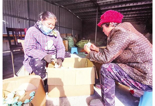 ���������r(n��ng)�e���������I(y��)�M�г��ӹ����a(ch��n)