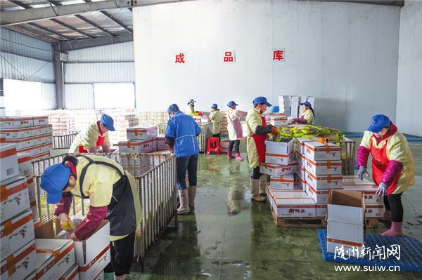 �}�n�߲˳���