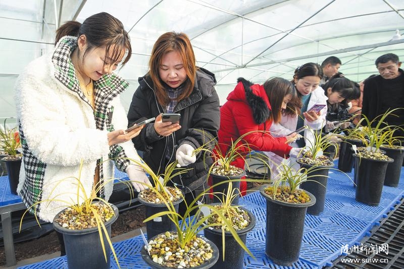 �S�ݡ��W(w��ng)�t��ֱ���N���m��