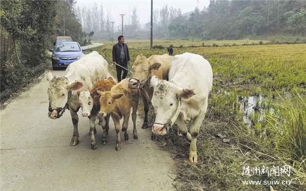 �l(f��)չ�B(y��ng)ֳ�I(y��)