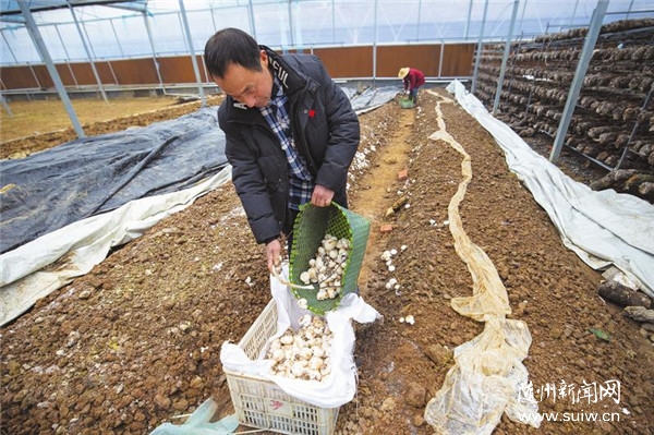 ̽��ʳ�þ��Nֲģʽ