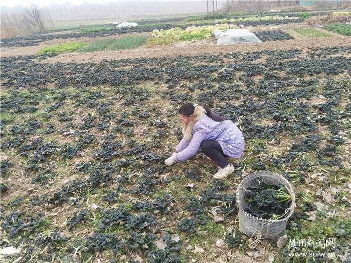 ���´��߻��ӡ��S�������ྀ���]��æ