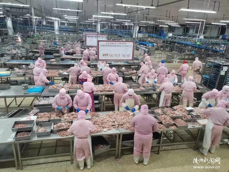 �S���Ђ��㽛(j��ng)��(j��)�l(f��)չ����؛���^��(zh��n)�_�T�t