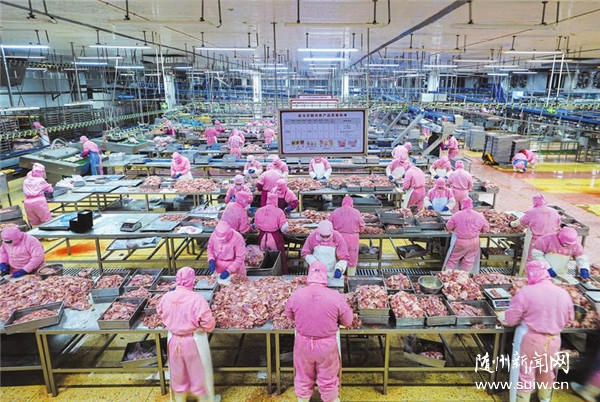 �_���׼����_�T�t��