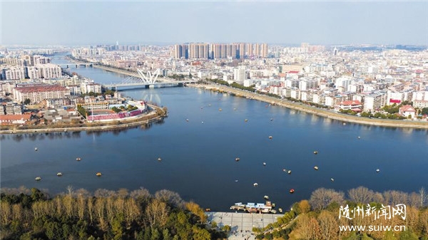 ���۰��ƺ� ���p�S����