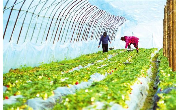 ��ݮ�M���ժ����(ji��)