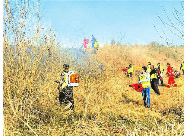 ɭ�ַ�����ݾ�