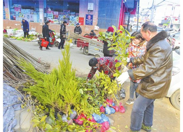 ����ֲ������(d��ng)�r