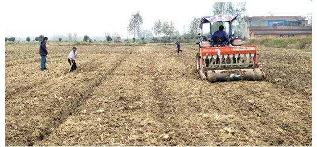 ���g���^һ�ɷ�æ����