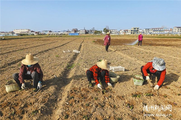 �r(n��ng)æ����(d��ng)�r(sh��)