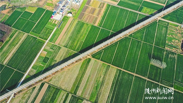 �Gɫ��(l��)��