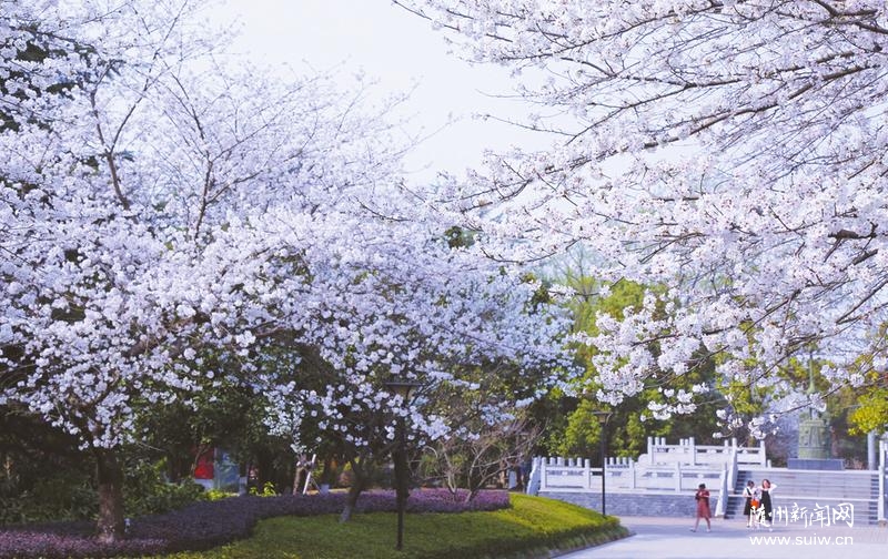 ���ѡ������ �k���`��