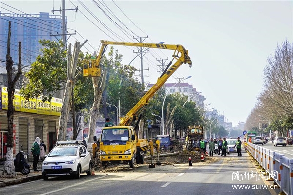 ����е��䲡֦��֦