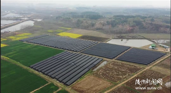 ʯ��塪��С��Ǿ������a(ch��n)�I(y��)