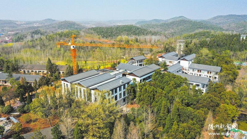 ������l(f��)չ �����l(xi��ng)�����d