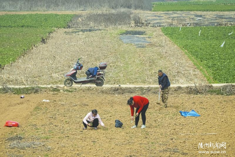 ��ץ�r�ræ����