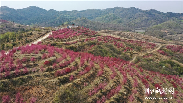 ����ý�w�����С��Vˮ�ǵ��(zh��n)���l(xi��ng)������˾���á����������������l(xi��ng)�����d