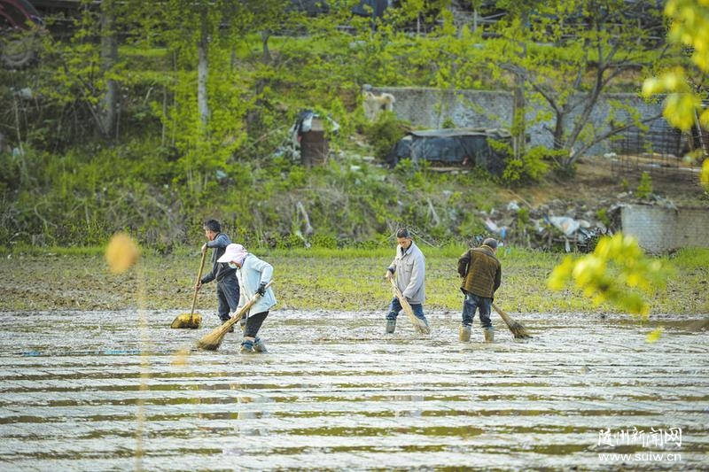 ��������æ