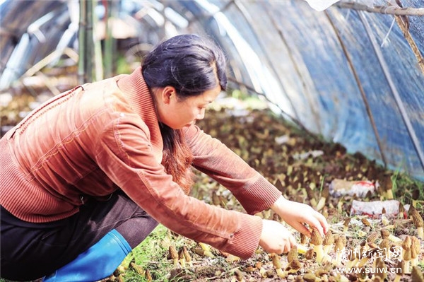 ����(d��o)�r(n��ng)��l(f��)չʳ�þ��a(ch��n)�I(y��)