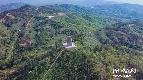 ����܇�Ʋ��h�� �����S�h�ݵ��(zh��n)܇��ɽ����