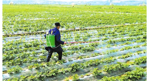 �l(xi��ng)�塰����˾�����ƴ弉���w��(j��ng)���l(f��)չ