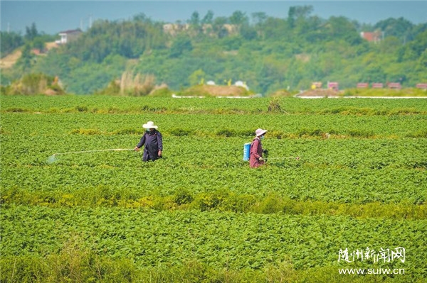 ���`�r(n��ng)�r��ؓ��