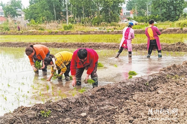 �ķN�Ĳ������r