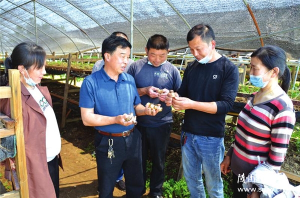 �^Ħ�W(xu��)��(x��)�Nֲ���g(sh��)