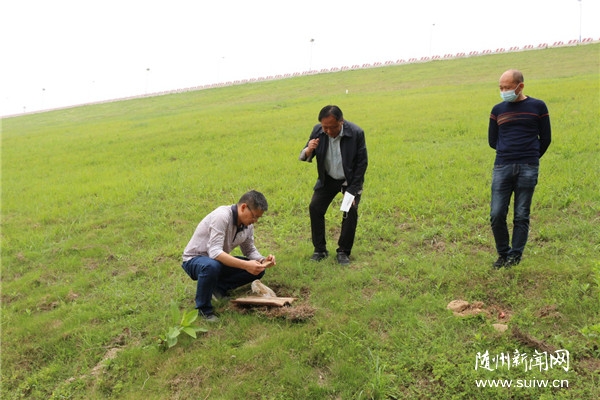 ʡˮ���d���ҁ��S�_չ��Ӗ(x��n)��ρ����