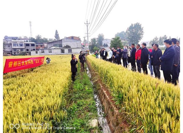 �F(xi��n)���^Ħ