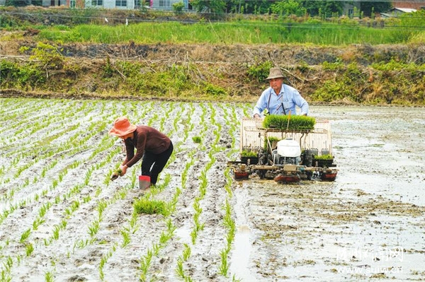 �������I(y��)