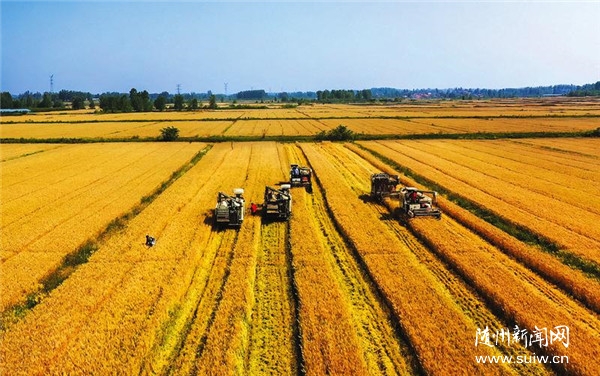 �_��S�� �w���w�}