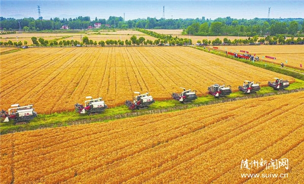 ���˝L�L����S