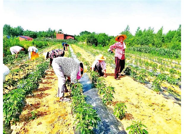 �l(f��)չ�罷�a(ch��n)�I(y��)