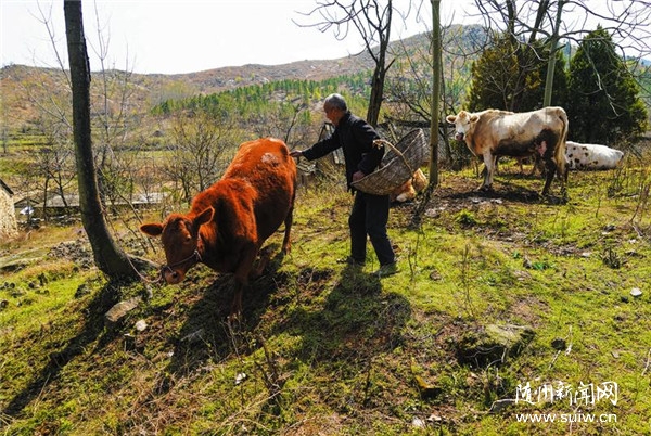 ���B(t��i)�B(y��ng)ţ������