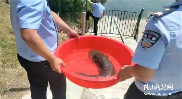 �S�h��ɽˮ���@�F(xi��n)�����_�֡� ԭ���Ǘl�����~