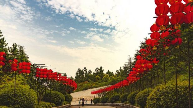 �����S�� ���B(t��i)�˾� ��������������S���˾ӡ��zӰ��Ʒ������Ӄ�(y��u)����Ʒ�x��֮��