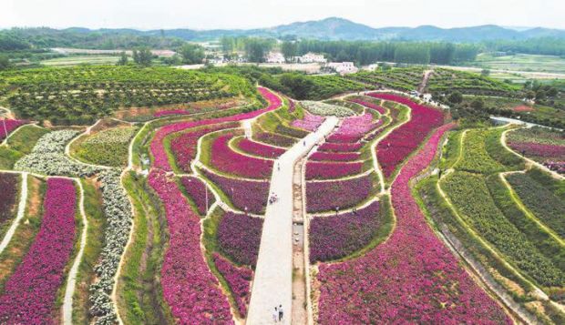 ����S���뮋��