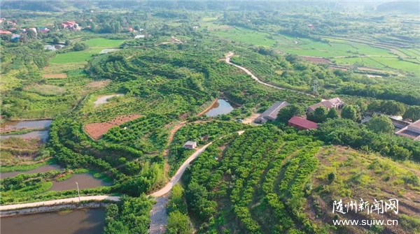 ���»��Ӳ��������n(y��u)ů���ġ�����֬�t����ʲô�@�Ӽt��