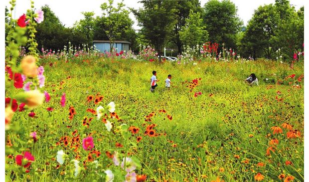 �r������`��