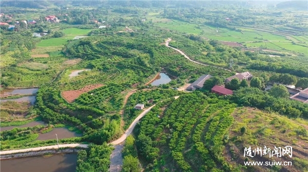 ����֬�t����ʲô�@�Ӽt��