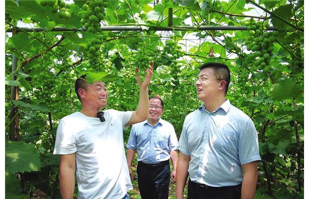 ���L�Nֲ����