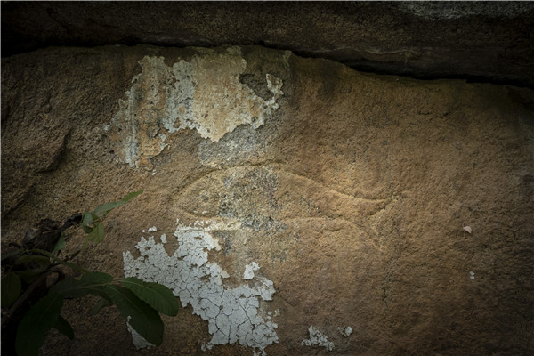 �S���l(f��)�F(xi��n)һ̎�Ŵ��r��