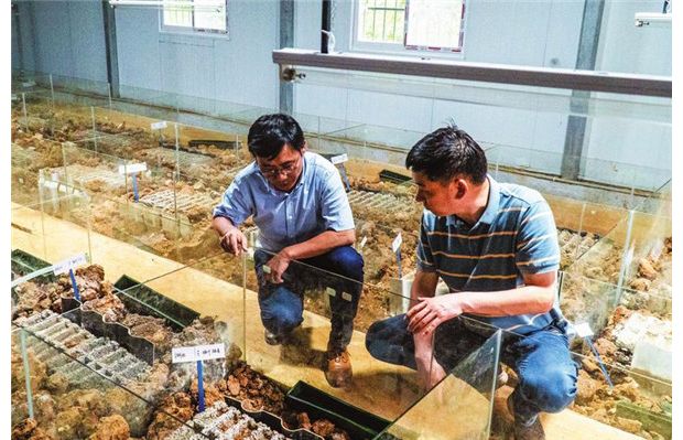 ����ָ��(d��o)��򼷱��