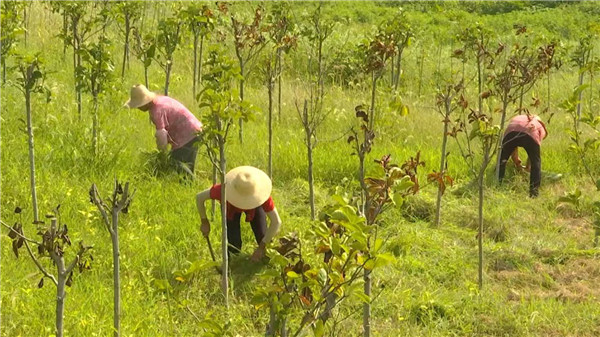 �����M�l(xi��ng)�忴���d��������壺�l(xi��ng)�������˾�،����帻��·