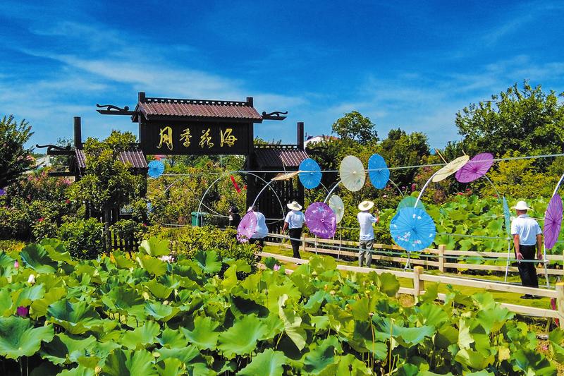 �S�h��ɽ�(zh��n)ͨ�^��(f��)����ʮ���������������g�Ļ�